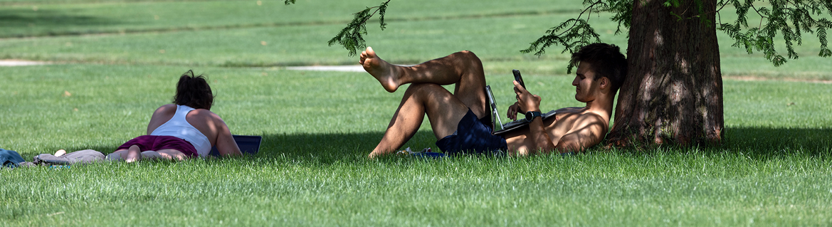 Summer term header
